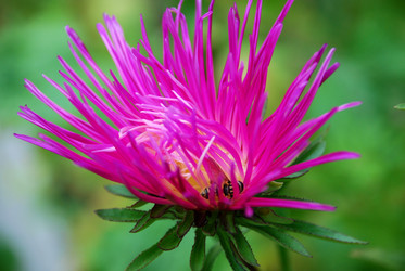 Similar image 21657177