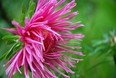 Similar image 21657178