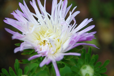 Similar image 21657179