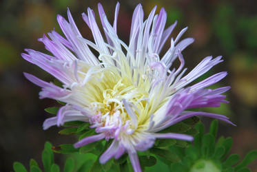 Similar image 21657180