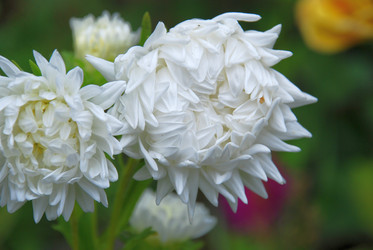 Similar image 21657182