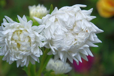 Similar image 21657183