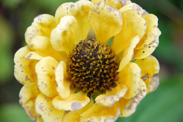 Similar image 21657184