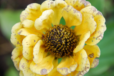 Similar image 21657185