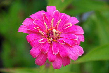 Similar image 21657187