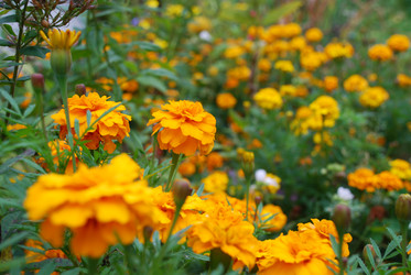 Similar image 21657188