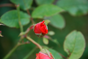 Similar image 21657190