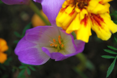 Similar image 21657191