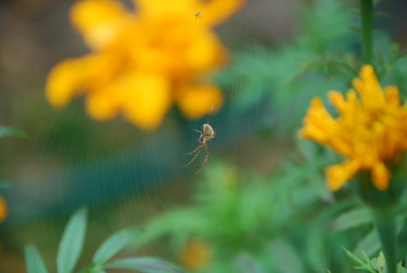 Similar image 21657193