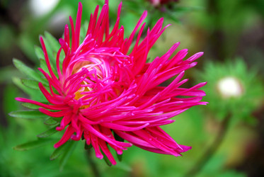 Similar image 21657194