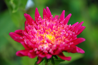 Similar image 21657195