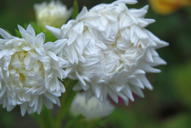 Similar image 21657196