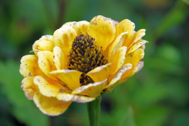 Similar image 21657197