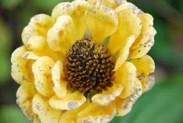 Similar image 21657198