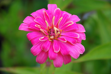 Similar image 21657199