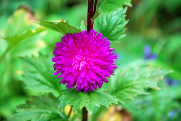 Similar image 21657200