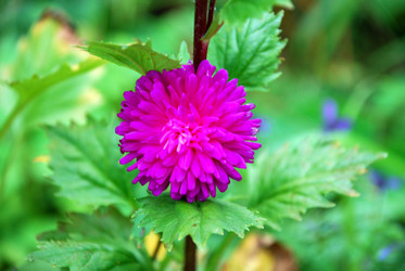 Similar image 21657201