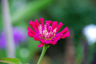 Similar image 21657202