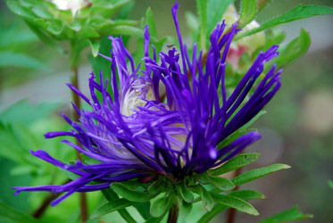 Similar image 21657203