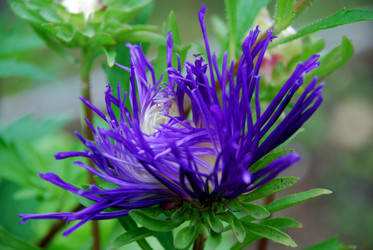 Similar image 21657204