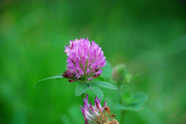 Similar image 21657205