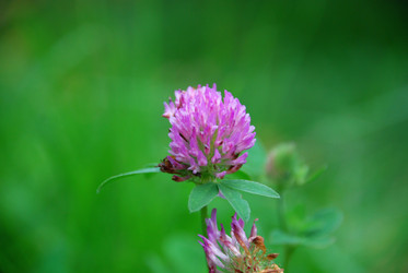 Similar image 21657206