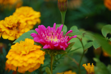 Similar image 21657208