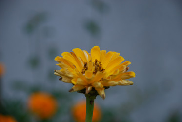 Similar image 21657209