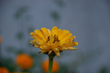 Similar image 21657210