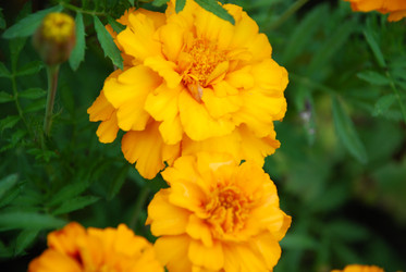 Similar image 21657211