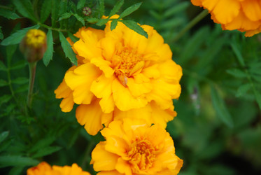 Similar image 21657212