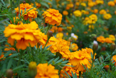 Similar image 21657213