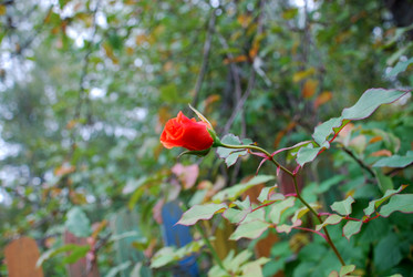 Similar image 21657214