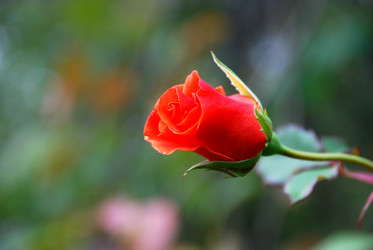 Similar image 21657215