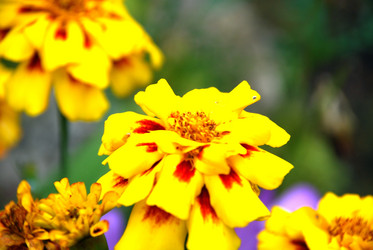 Similar image 21657216