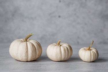 Similar image 21656384