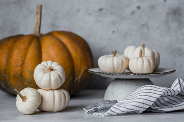 Similar image 21656389