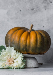 Similar image 21656395