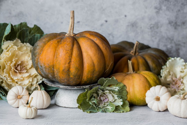 Similar image 21656424