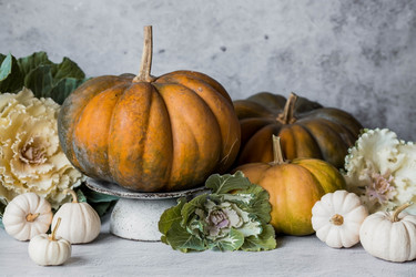 Similar image 21656425