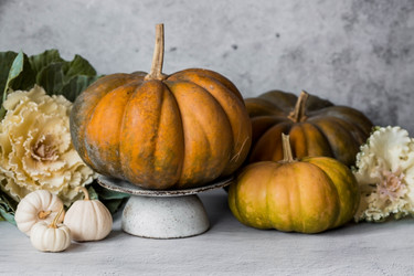 Similar image 21656426