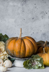 Similar image 21656427