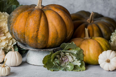 Similar image 21656428