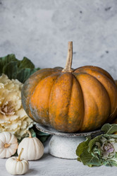 Similar image 21656429