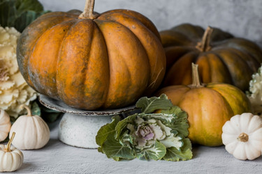 Similar image 21656430