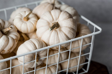 Similar image 21656444