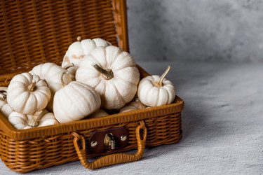 Similar image 21656447