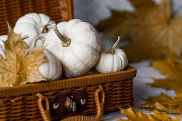 Similar image 21656449