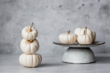 Similar image 21656458