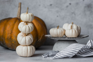 Similar image 21656459